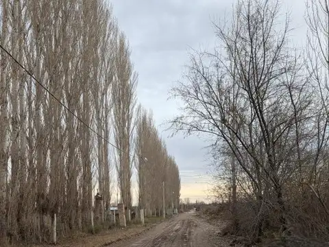 Terreno en Venta 294  mts Fondo