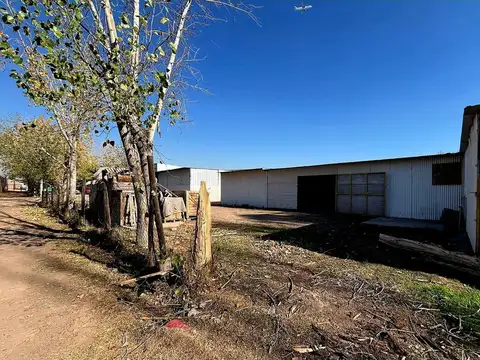 Galpon en Alquiler en Maipu, USD 325