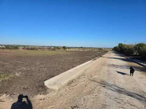 Avenida Los Chañares 700, Piso 0