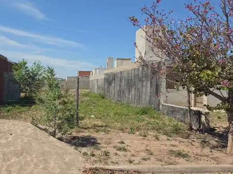 LOTE  EN ARGUELLO NORTE APTO RESIDENCIAL