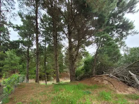 Terreno en Venta de 816,0 m2