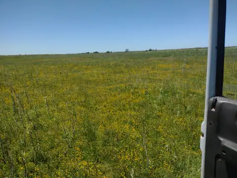 Campo en venta en Pila 1400 hectárea