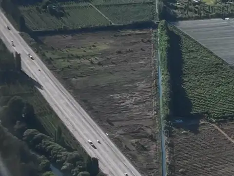 VENTA DE HECTAREAS INDUSTRIALES, COMERCIALES O PARA PRODUCCION SOBRE RUTA 22 - RIO NEGRO