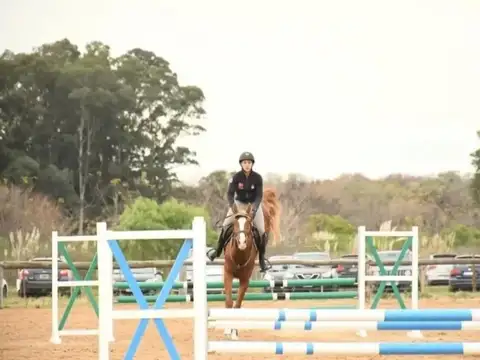 Terreno en Venta 25  mts Frente