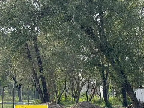 Terreno en Venta de 400,0 m2