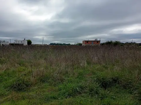 FRACCION EN ALQUILER EN ARANA 60.000 m2