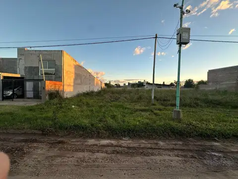 Praderas 100