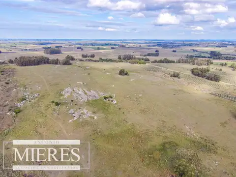 ruta 39 camino vecinal