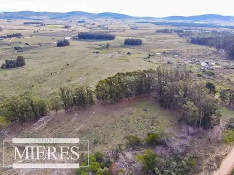 ruta 39 camino vecinal