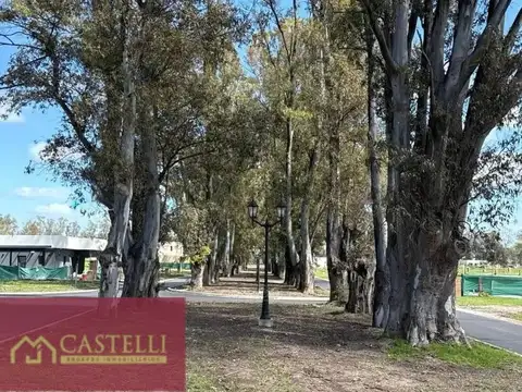 Terreno en Venta de 535,0 m2