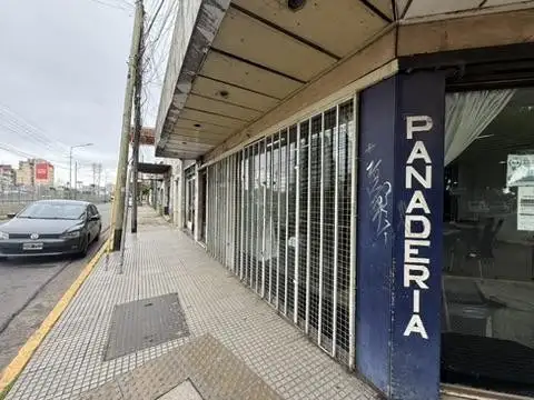 Padre Elizalde 2