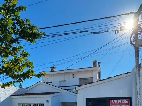 Superiora Palmira 100