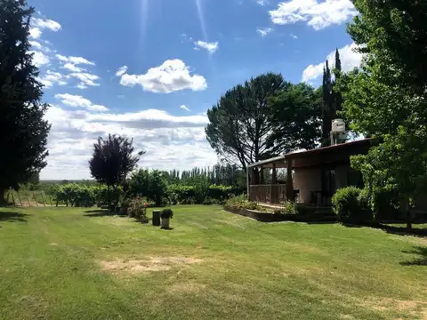 Finca de 4 Hectareas en Venta Tunuyán