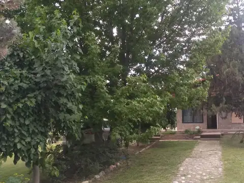 Finca de 4 Hectareas en Venta Tunuyán