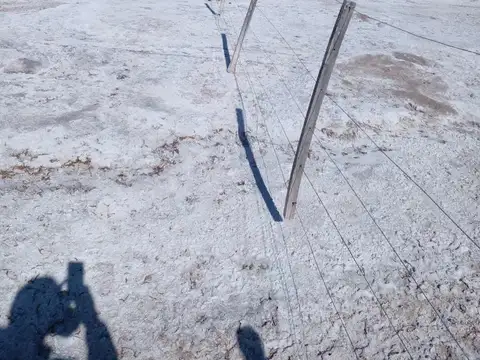 Campo de 24000 ha en Cruz del Eje Salinas de Córdoba apto ganadería y  explotación de sales