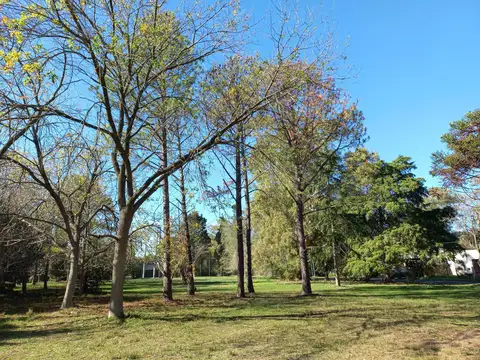 Terreno en Venta 10  mts Frente