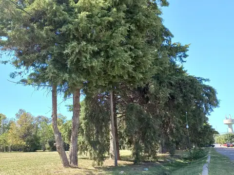 Terreno en Venta de 457,0 m2