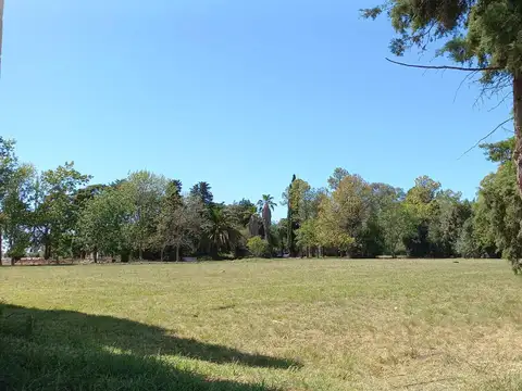 Terreno en Venta en Joaquin Gorina, USD 54.500