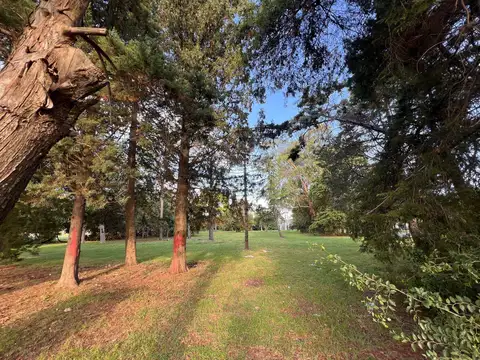 Terreno en Venta 36  mts Fondo