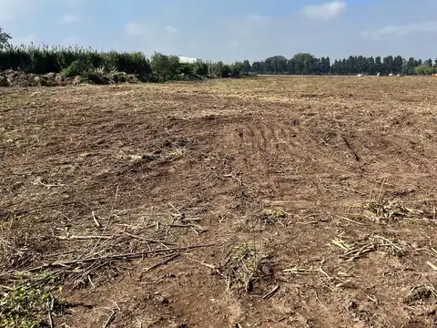 Terreno en Venta de 62400,0 m2