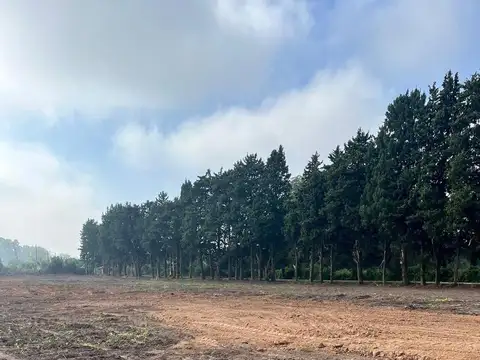 Terreno en Venta 416  mts Fondo