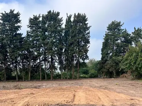 Terreno en Venta 150  mts Frente
