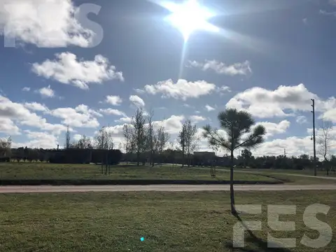 Juan Pablo II al 1600. Fincas de San Vicente.