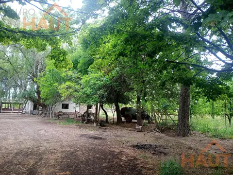 Chacra 21ha, en Mainque