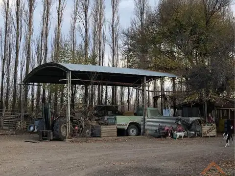 Chacra 21ha, en Mainque