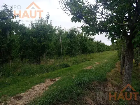 Chacra 21ha, en Mainque