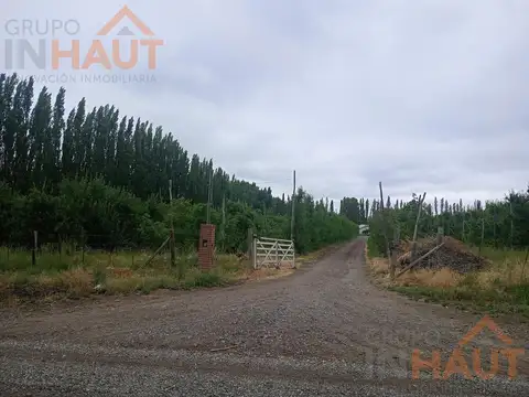 Chacra 21ha, en Mainque