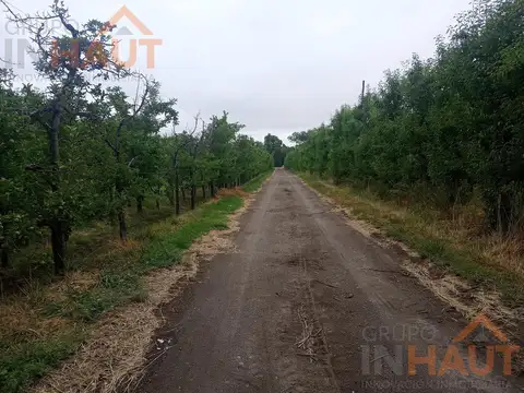 Chacra 21ha, en Mainque