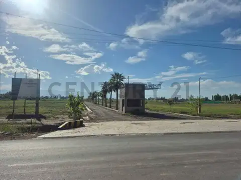 Serpa 7000