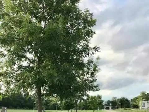 Terreno en Venta de 1000,0 m2