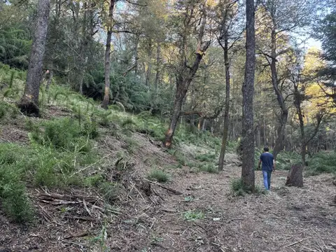 ruta 62 , Piso 0
