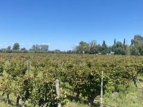 Finca en Monte Caseros