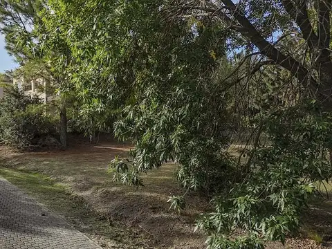 Terreno en Venta de 1031,0 m2