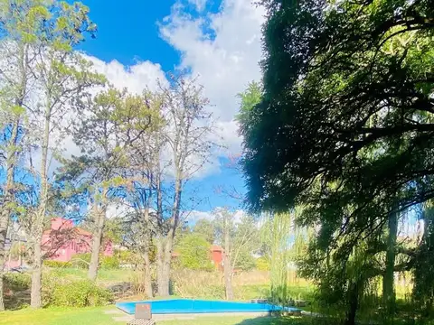Hermano Crisóstomo 100
