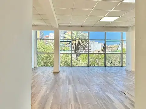 Oficina en Alquiler al Sudeste