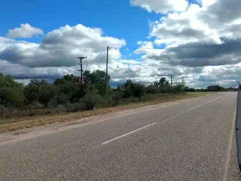Campo en Venta Ganadero