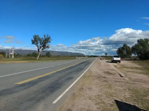 Campo en Venta Ganadero