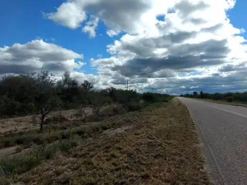 Campo en Venta de 150  ha