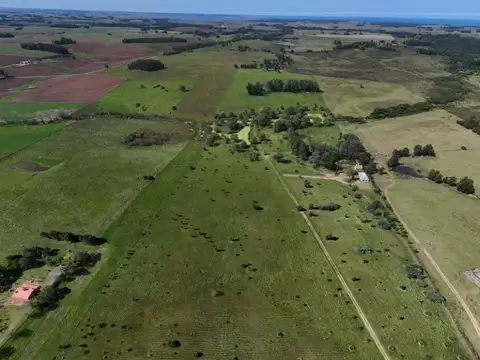 Quinta - Venta - Uruguay, Punta del Este