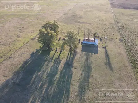 Campo ganadero en venta de 1362 has en Olavarria
