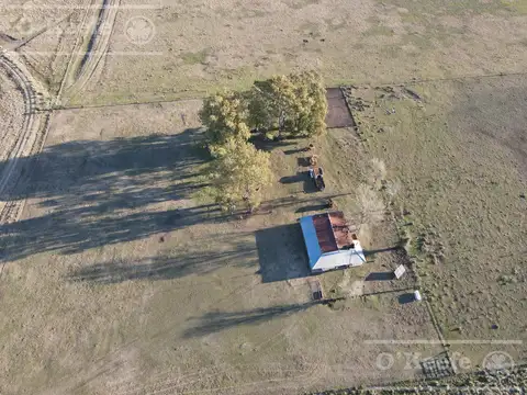 Campo ganadero en venta de 1362 has en Olavarria