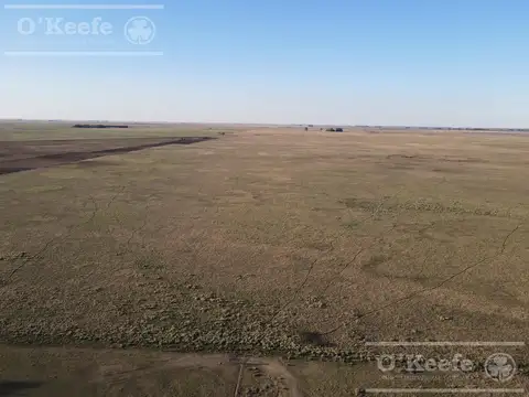 Campo ganadero en venta de 1362 has en Olavarria