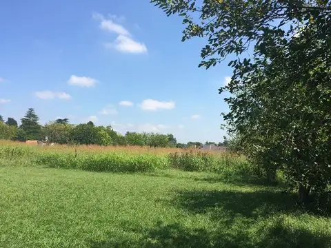 E ROCHA BLAQUIER Y R. J PAYRO