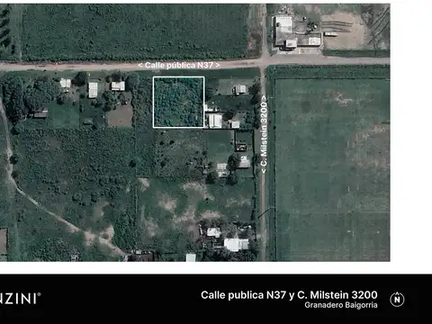 Calle publica N37 y C. Milstein 3200 'E-21