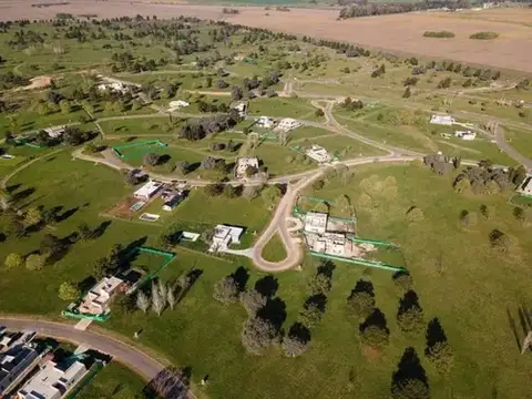 Mirabosques