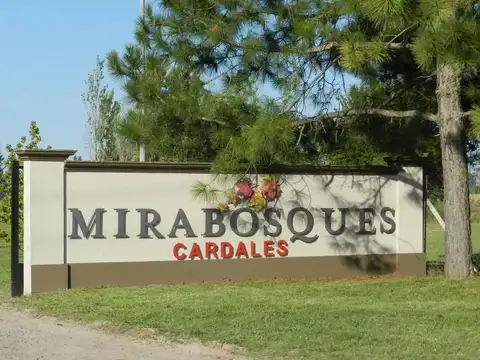 Terreno en Venta 62  mts Fondo